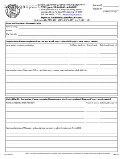 Fill in Your Michigan Lcc 3010 Form