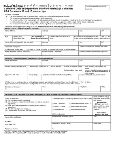 Fill in Your Michigan Permit Form